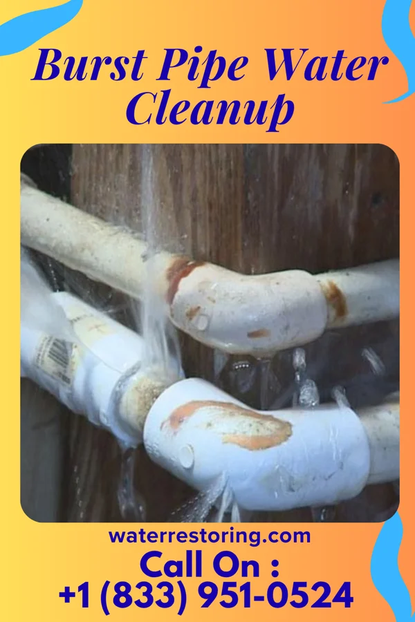 Burst Pipe Water Cleanup in Clare, MI