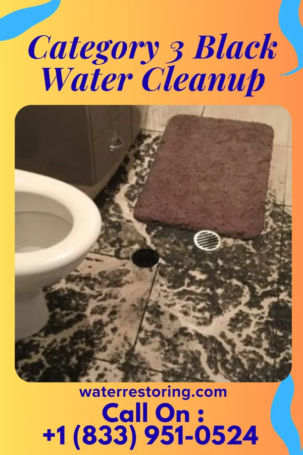 Category 3 Black Water Cleanup in Clare, MI
