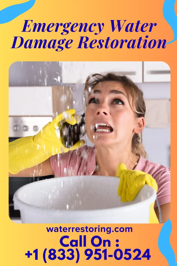 Emergency Water Damage Restoration in Clare, MI