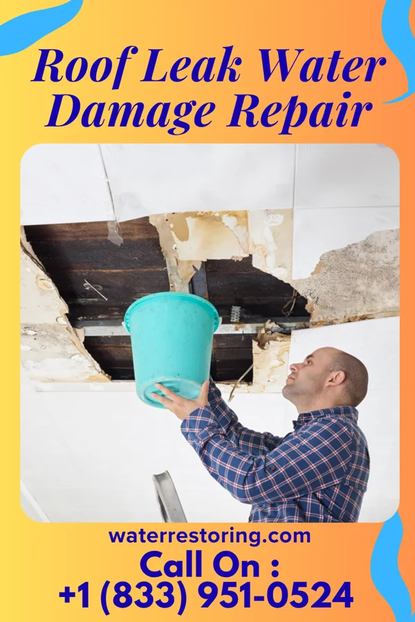 Roof Leak Water Damage Repair in Clare, MI