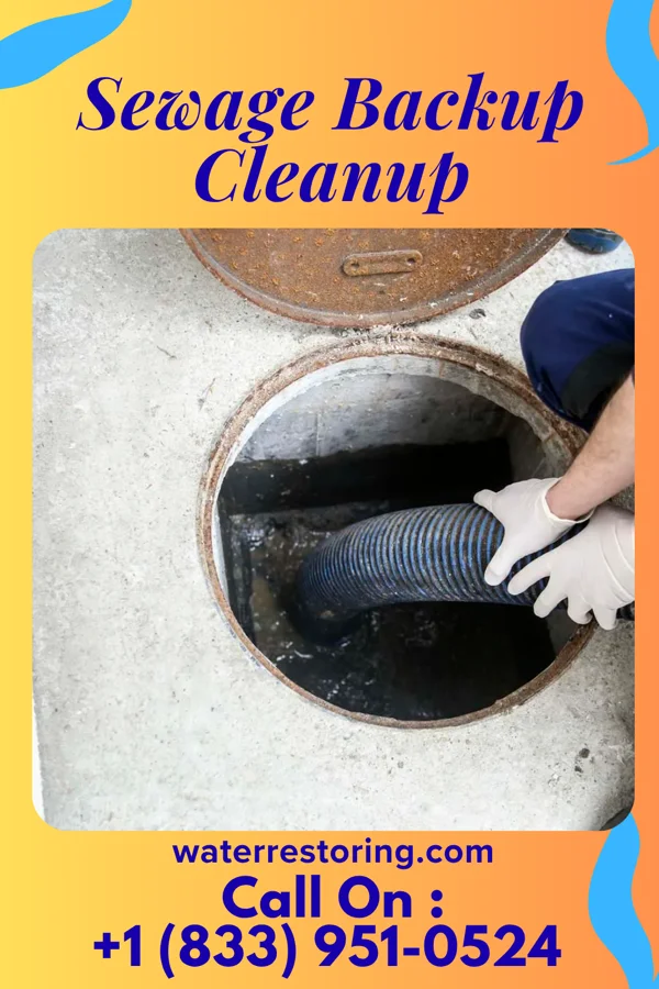 Sewage Backup Cleanup in Clare, MI