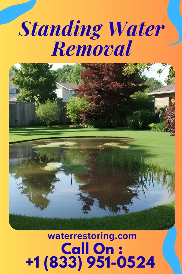 Standing Water Removal in Clare, MI